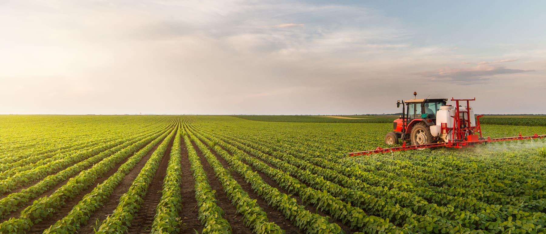 Bridging Finance | Agricultural Finance | Yorkshire
