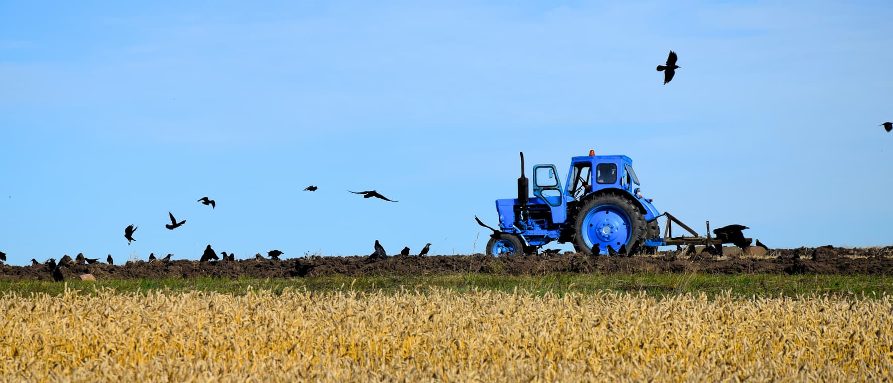 Finance Lease | Agricultural Finance | Yorkshire